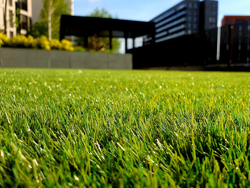 Freshly cut green lawn